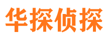 东乡侦探公司